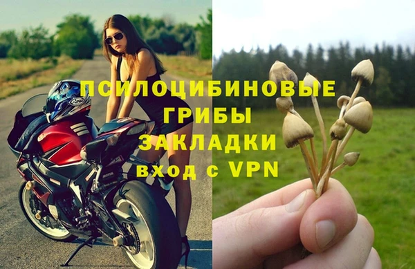 таблы Алексин