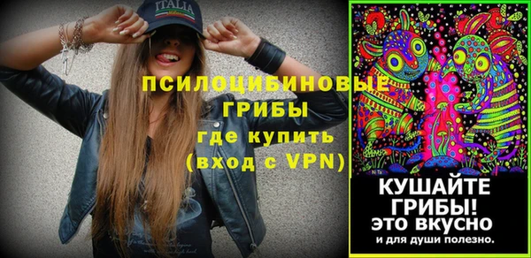 крисы Алзамай