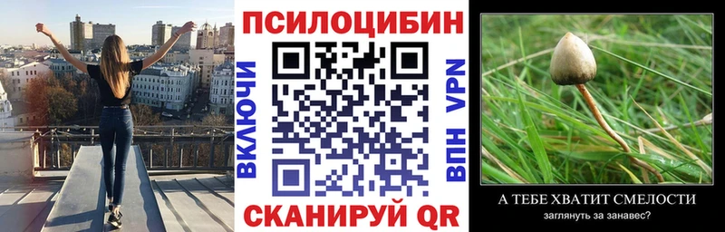 Псилоцибиновые грибы мицелий  купить закладку  Жиздра 