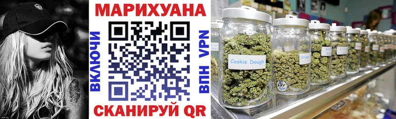 Бошки Шишки SATIVA & INDICA  купить закладку  Жиздра 